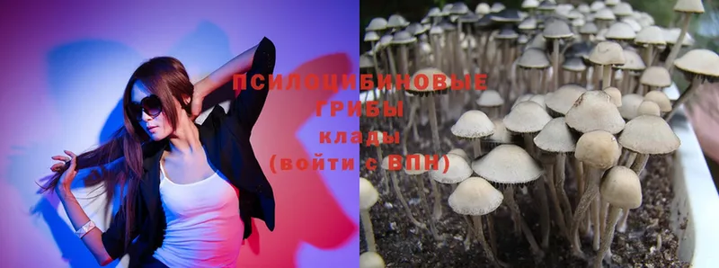 кракен ссылки  Макушино  Галлюциногенные грибы Magic Shrooms 